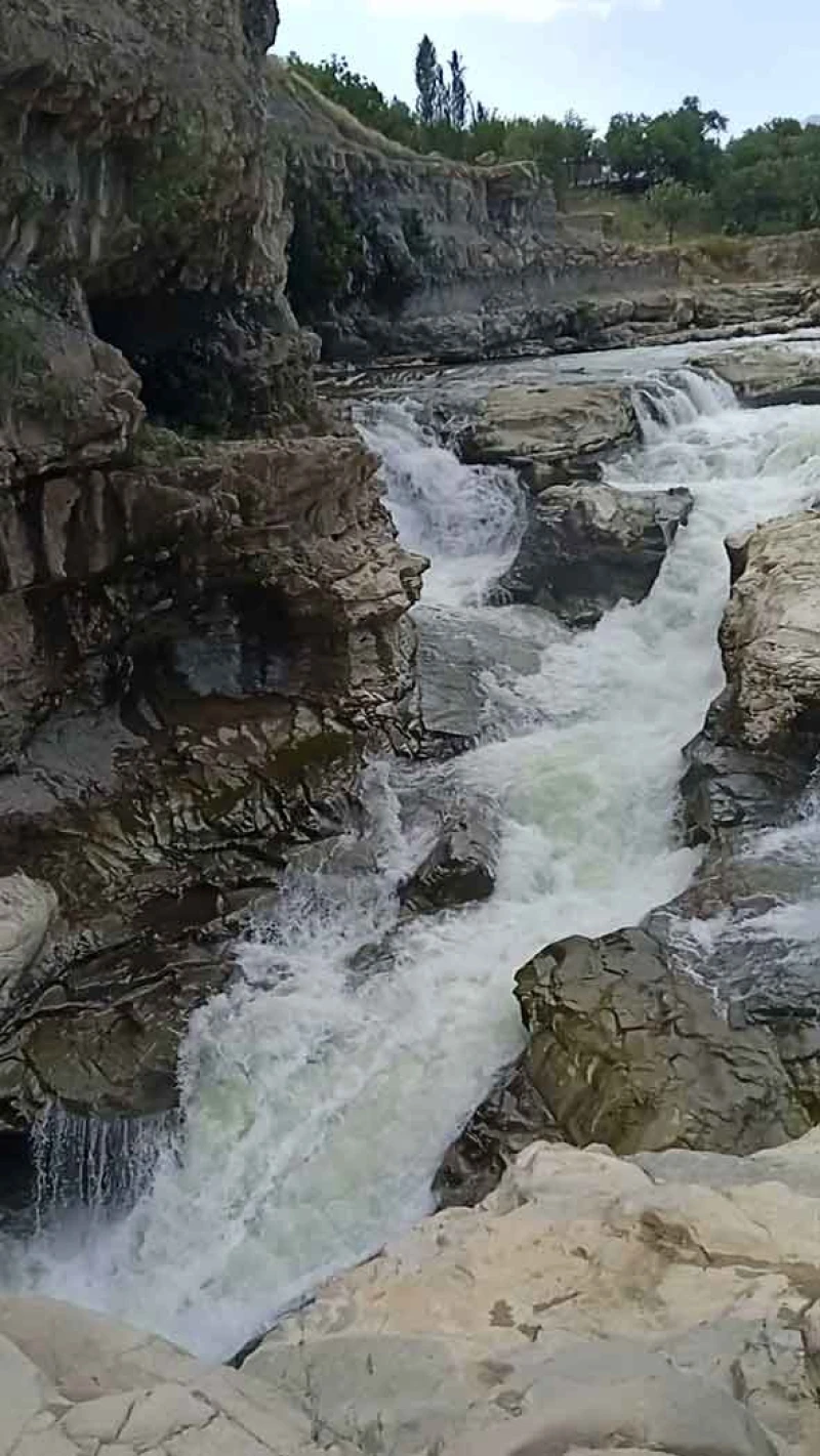 _