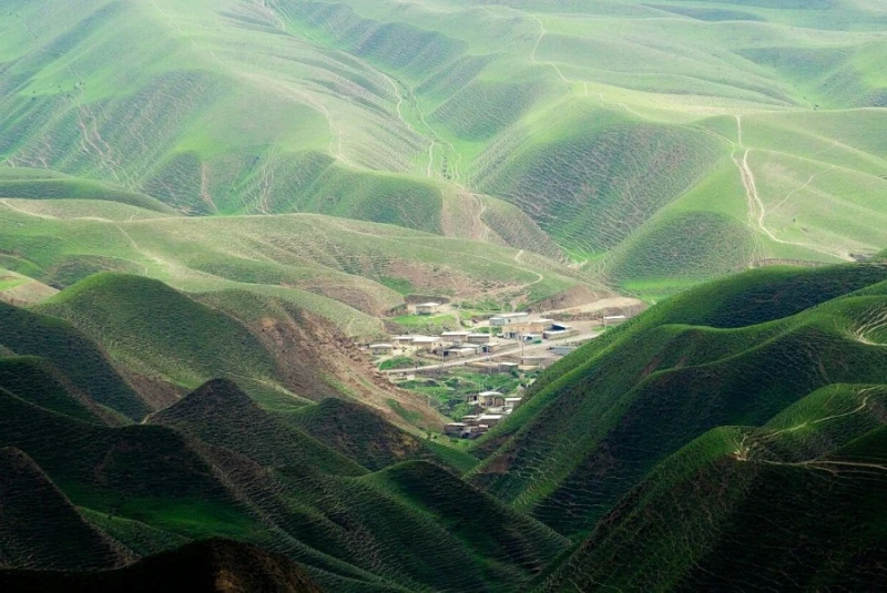 _