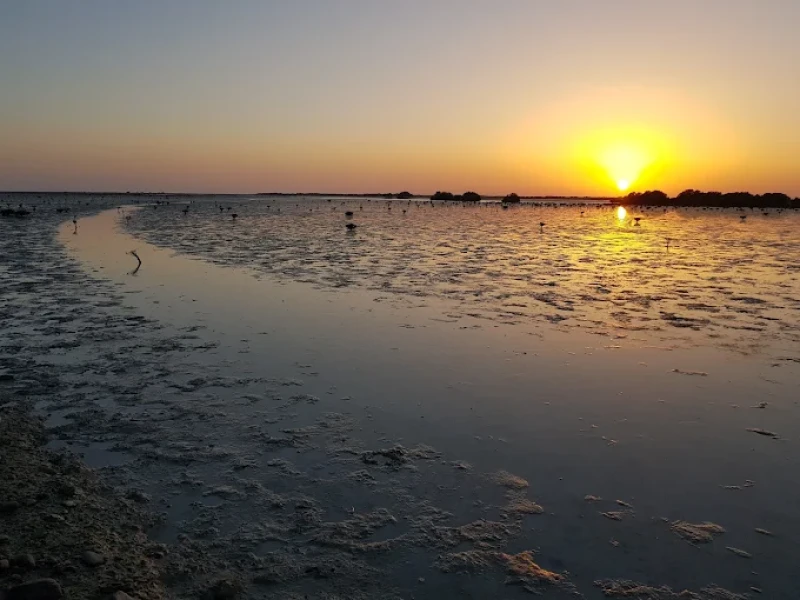 _