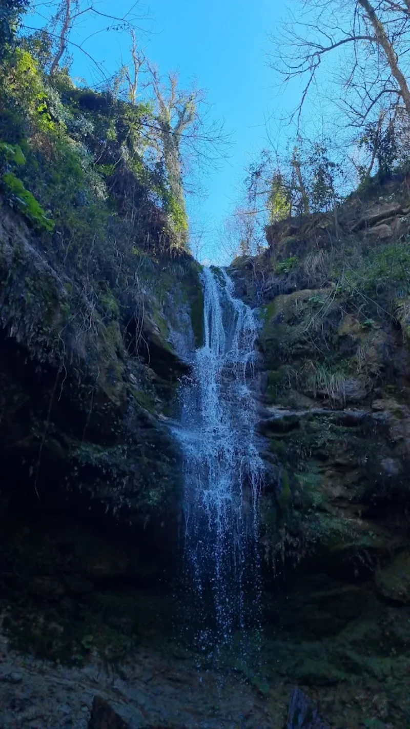 _