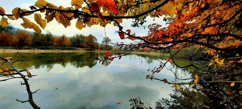 _