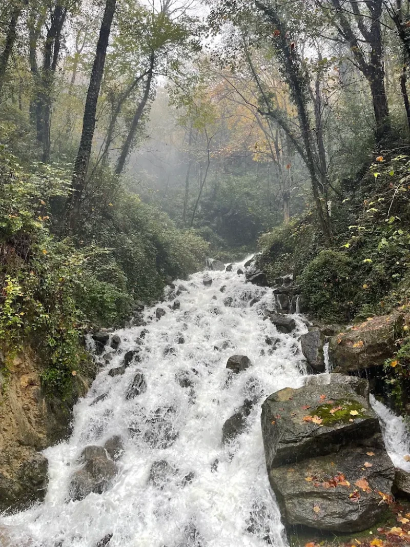 _
