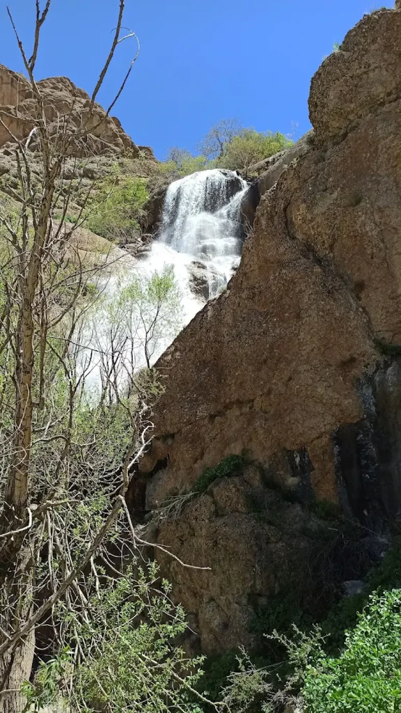 _