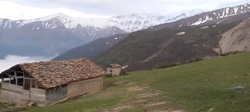 _