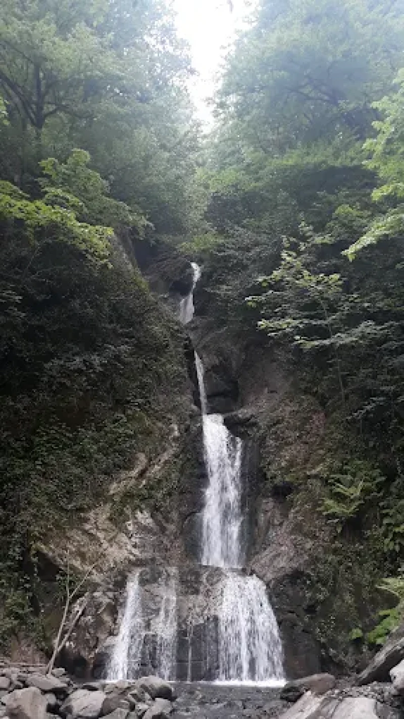 _