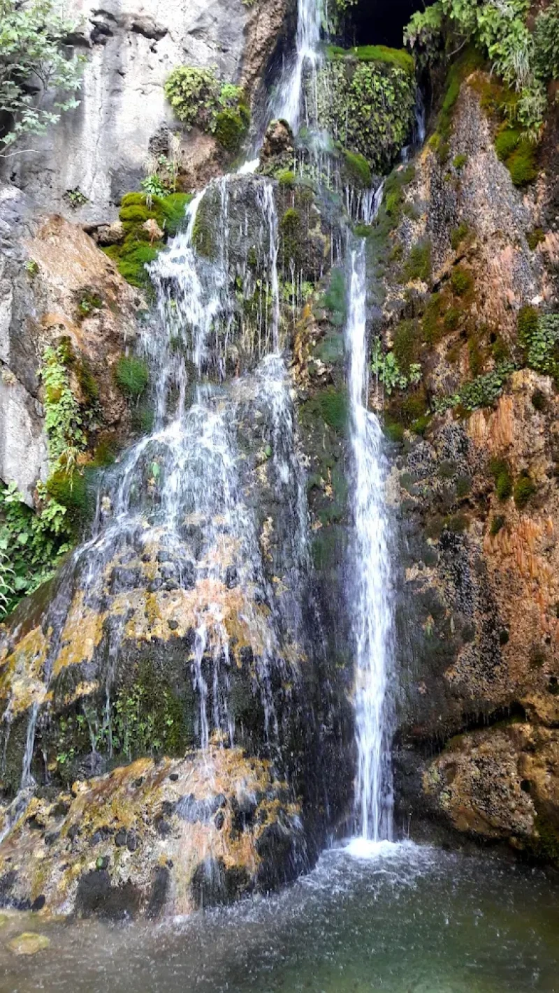 _