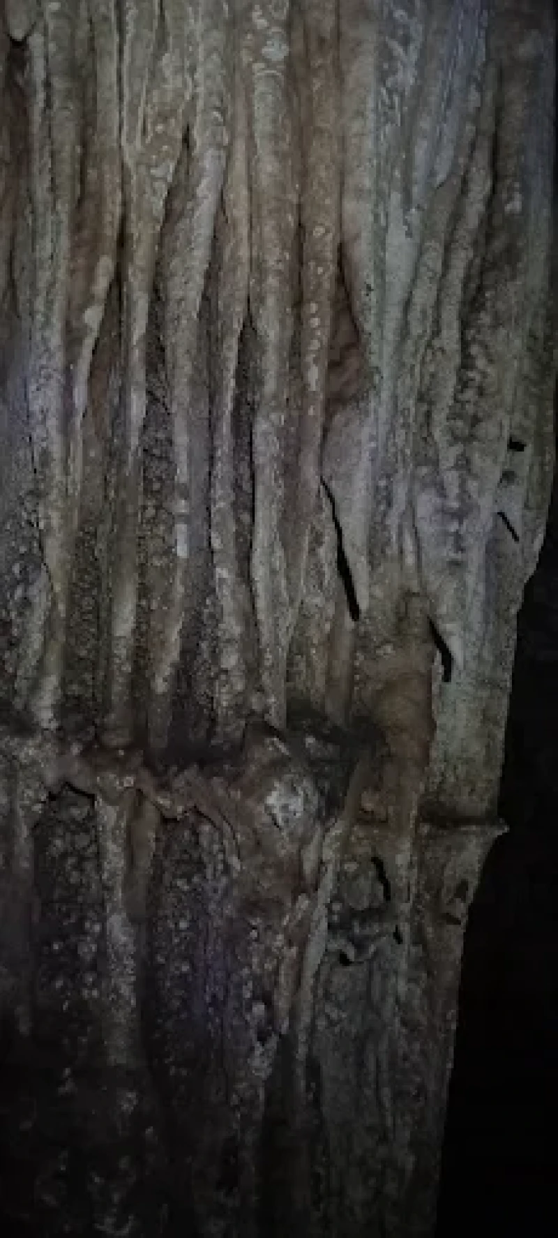 _