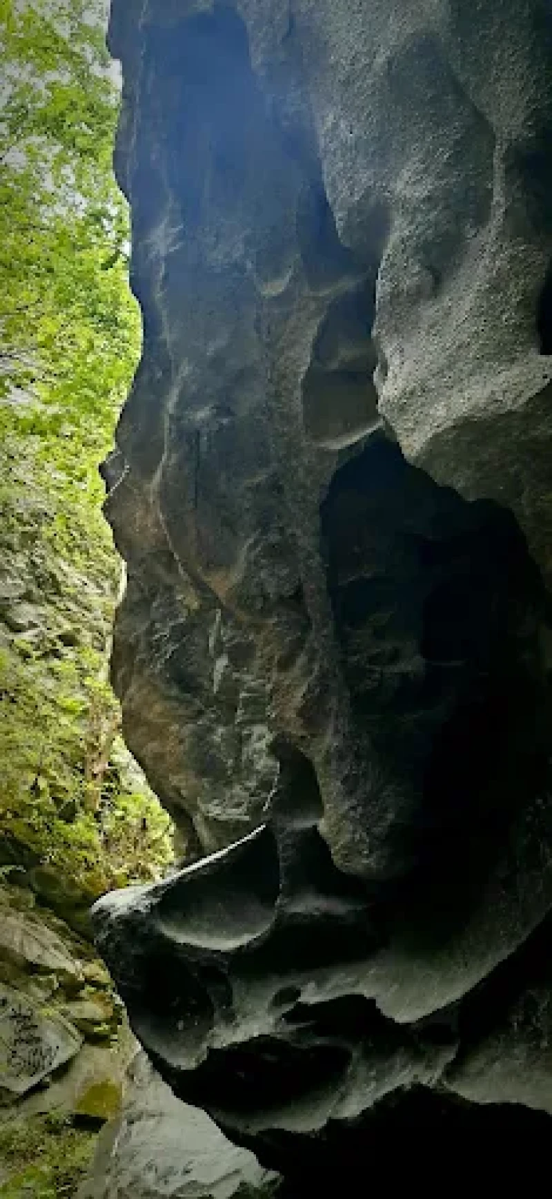 _