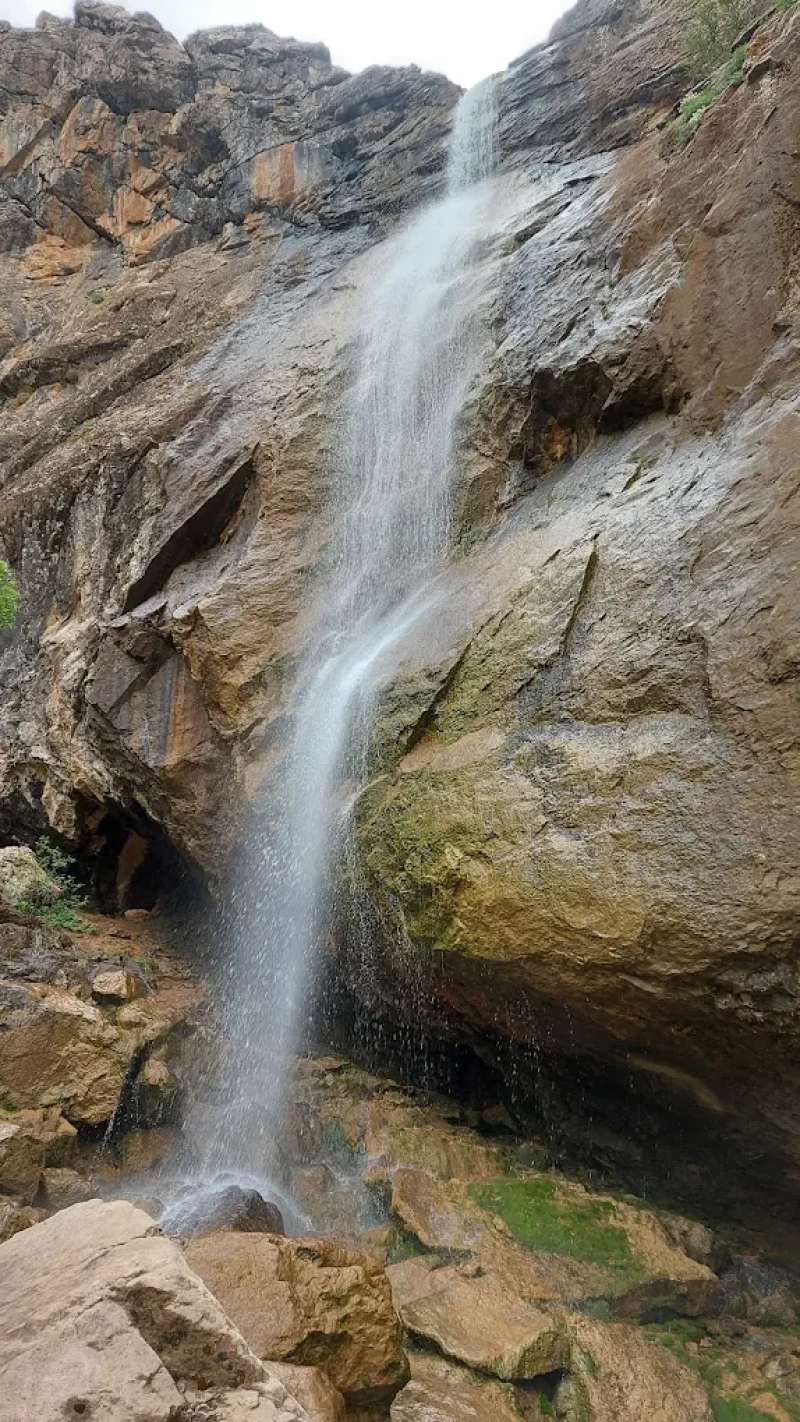 _