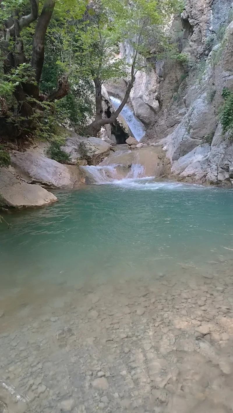 _