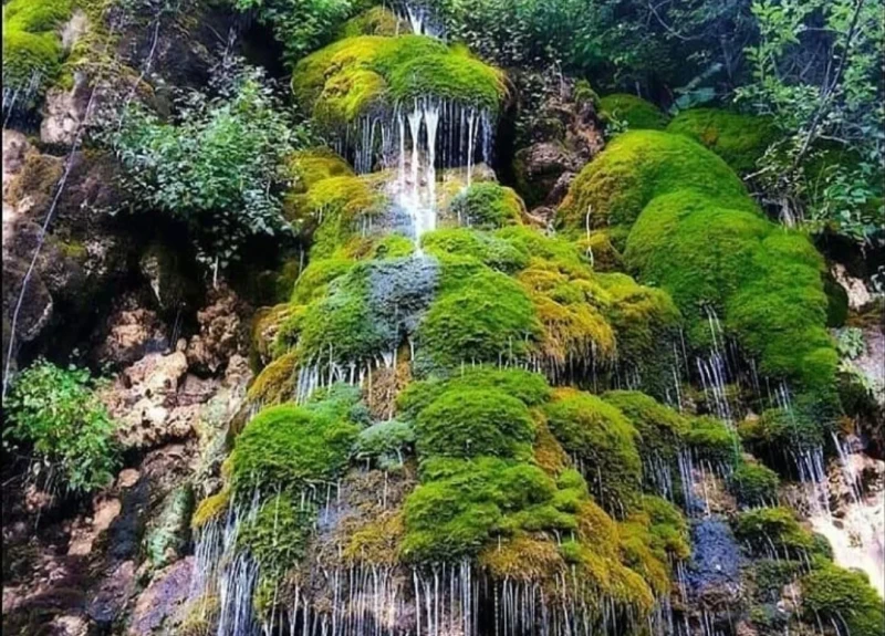 _