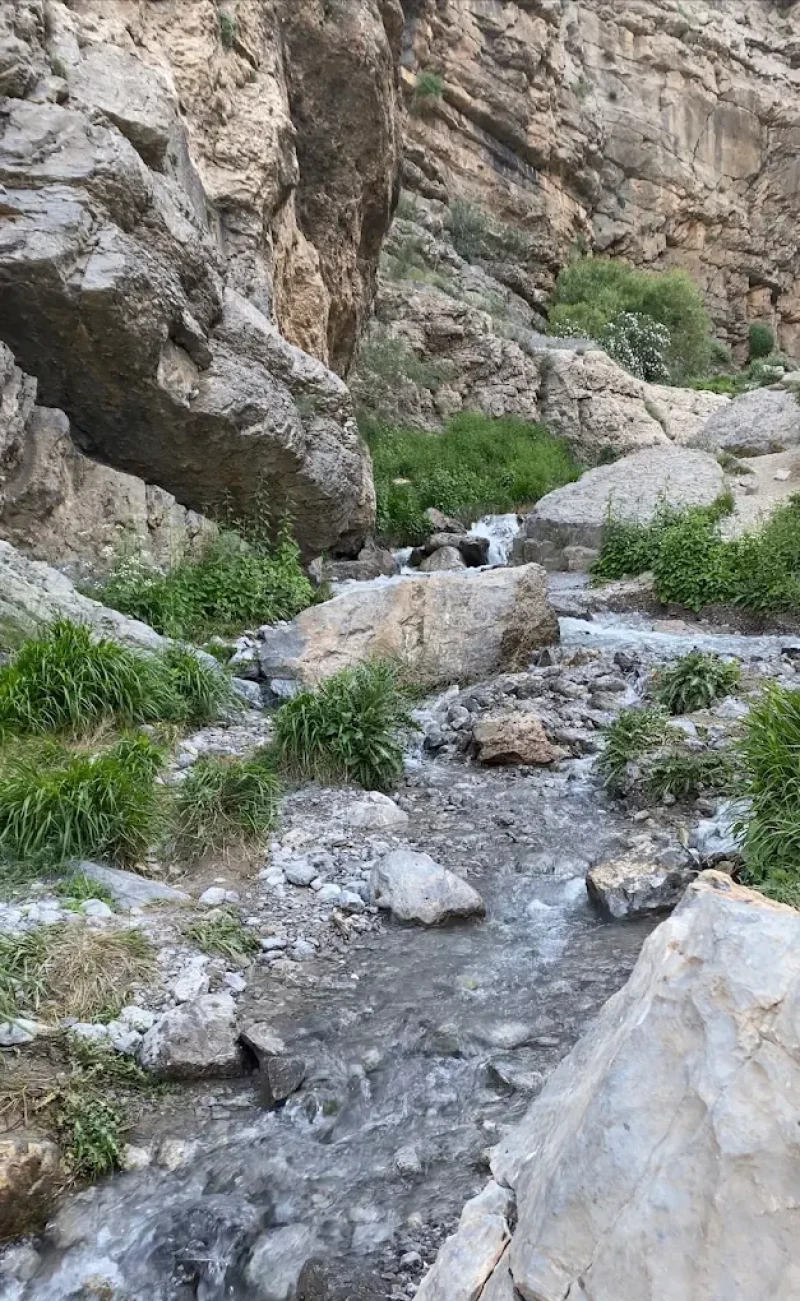 _