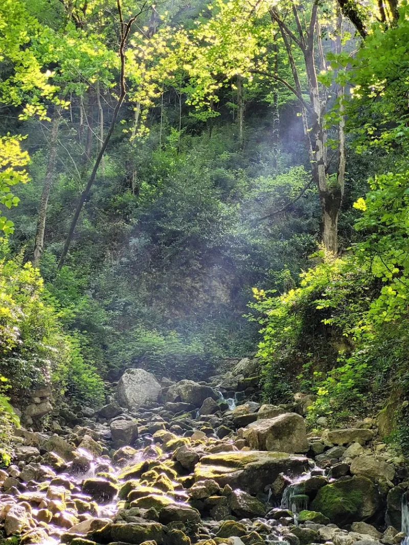 _