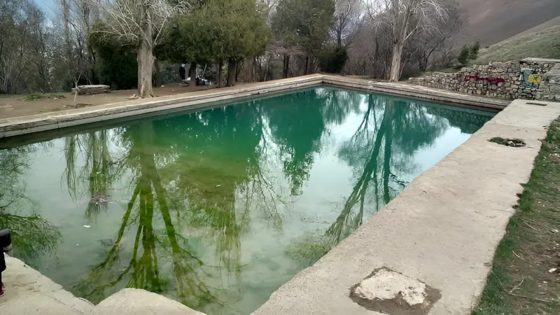 گویزه کویر - تصویر 2