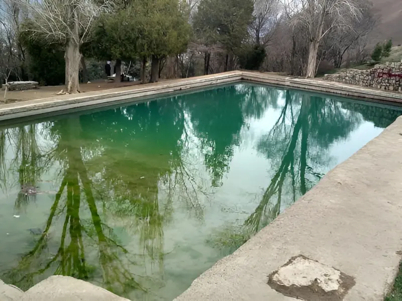 گویزه کویر - تصویر 2