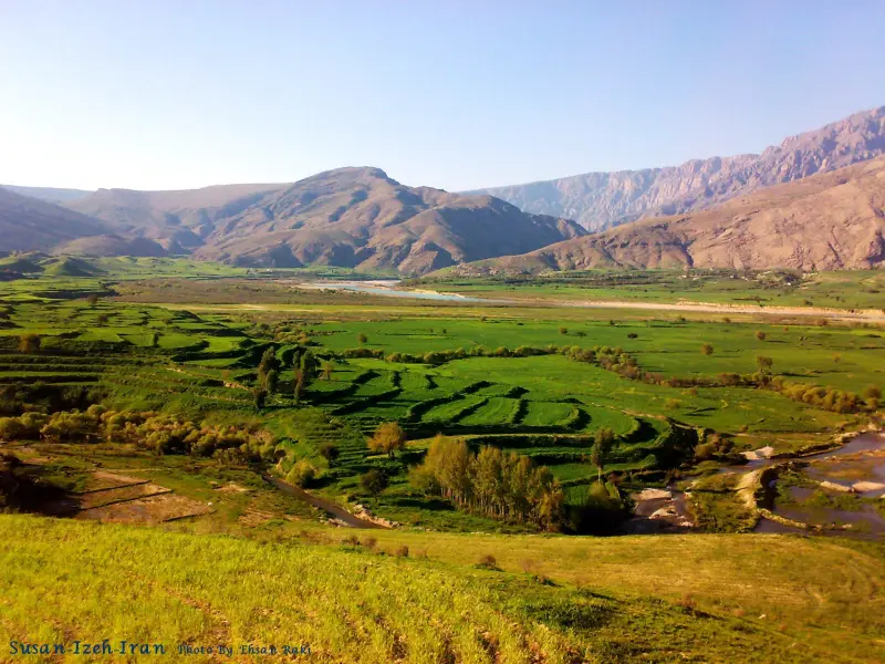 دشت سوسن