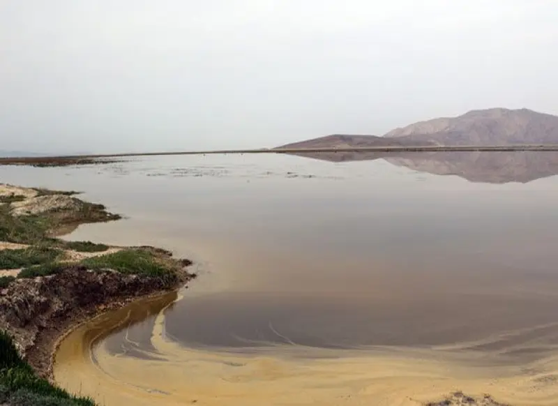 تالاب کمجان - تصویر 6