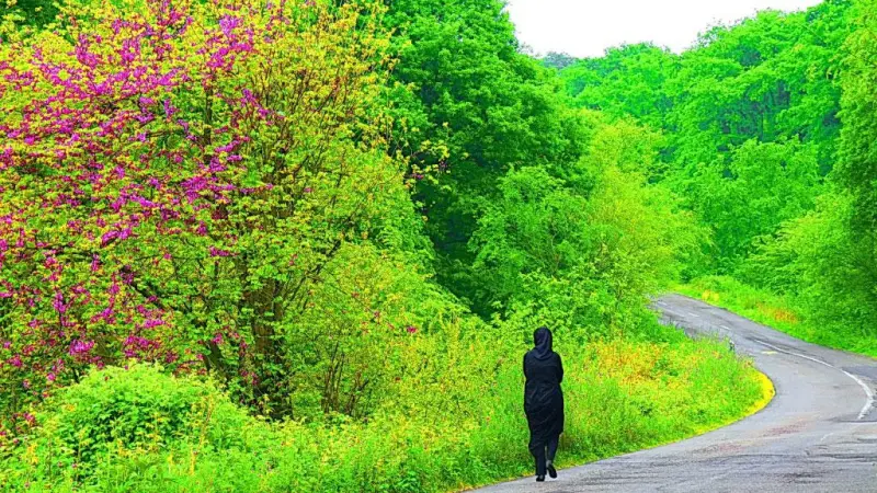 پناهگاه حیات‌وحش سمسکنده - تصویر 4
