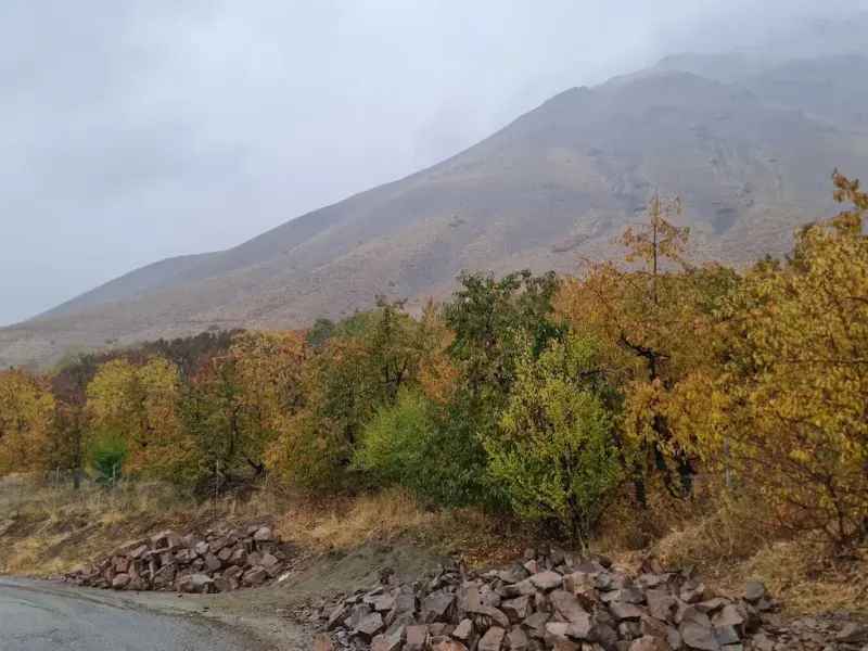 روستای راحت آباد - تصویر 1