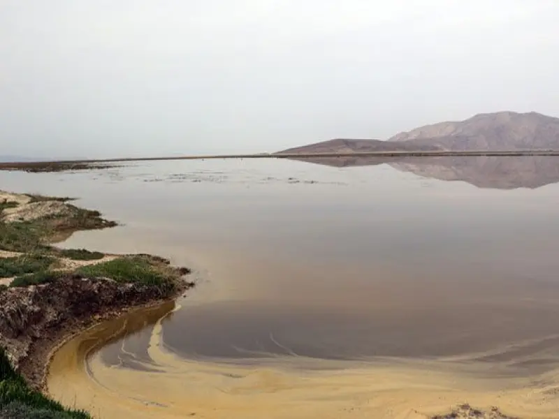 تالاب کمجان - تصویر 6