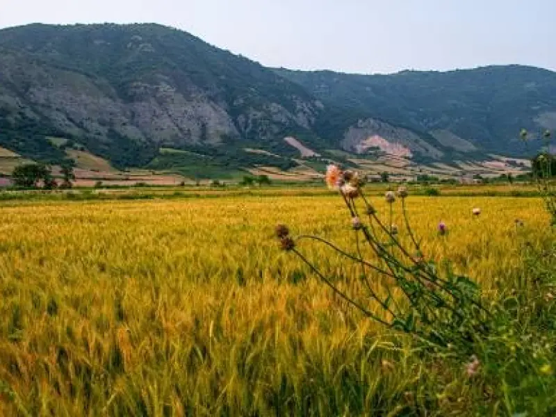 پارک ملی گلستان