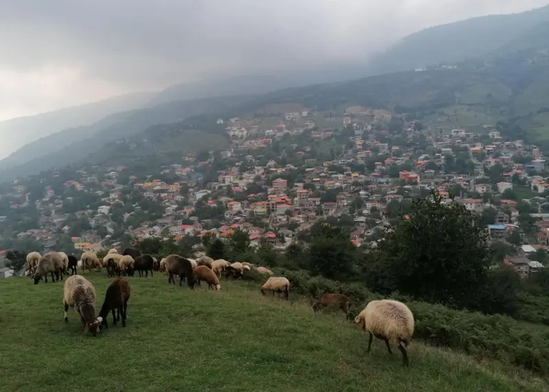 روستای سنگچال - تصویر 1