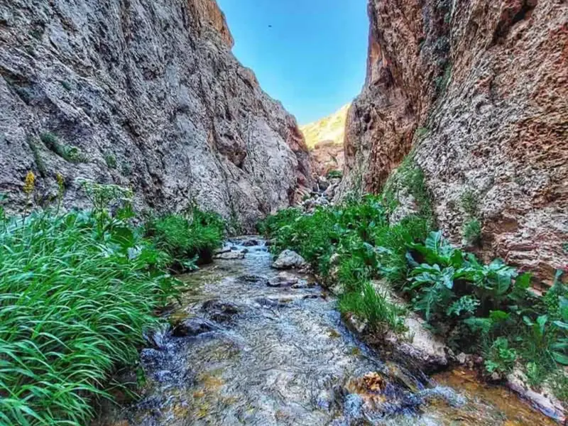 تنگه میشینه مرگ - تصویر 10