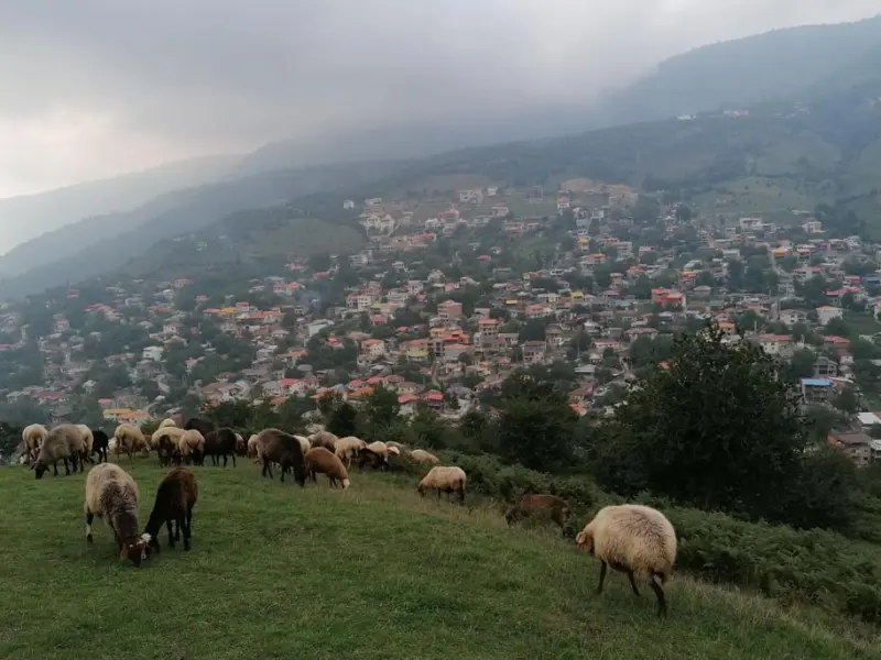 روستای سنگچال - تصویر 1