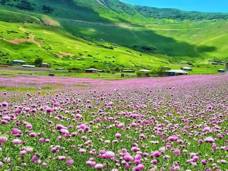 ییلاق اسالم - تصویر 2