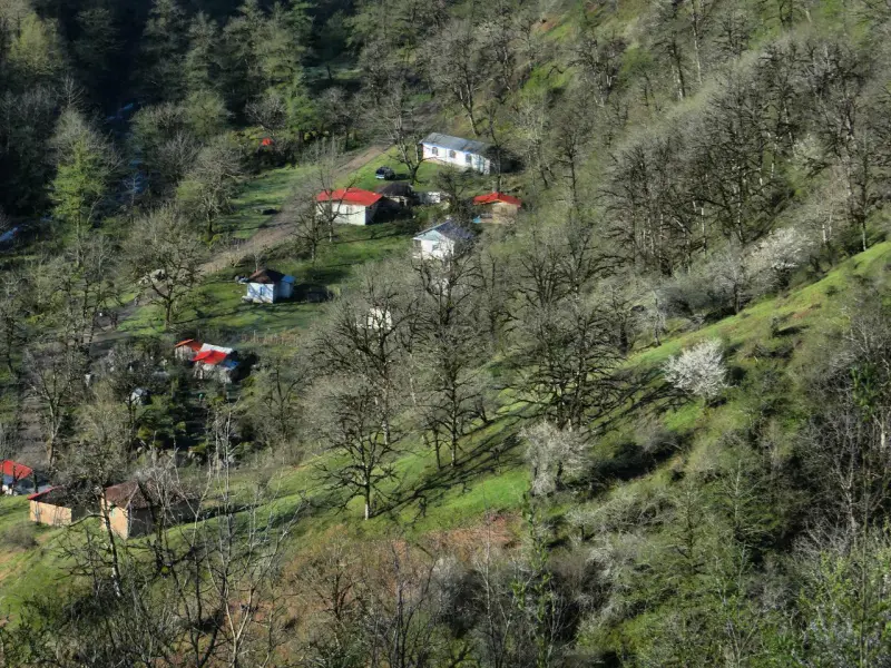 روستای لاتون - تصویر 5