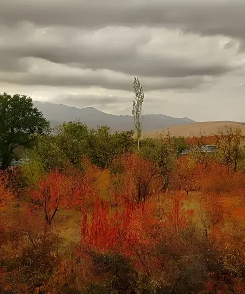 روستای گریوان، خراسان شمالی