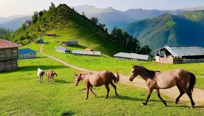 روستای سوباتان - تصویر 2