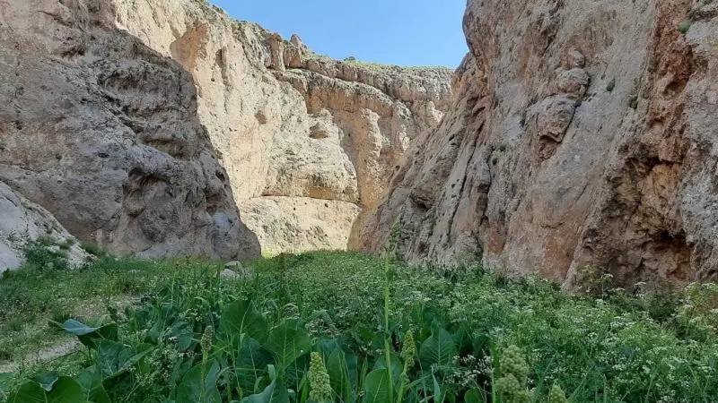 تنگه میشینه مرگ - تصویر 3