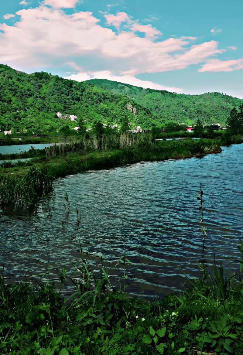 روستای سالکویه - تصویر 1