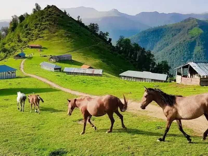 روستای سوباتان - تصویر 2