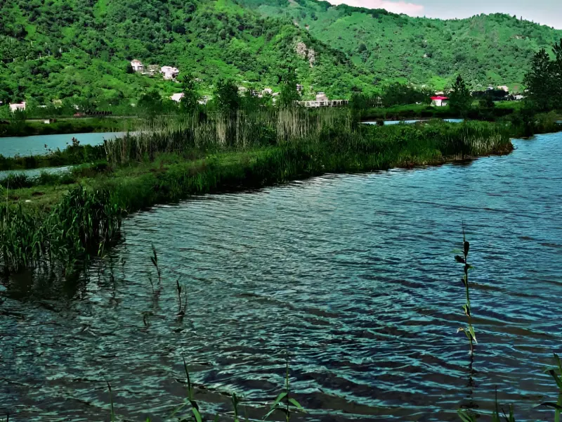 روستای سالکویه - تصویر 1