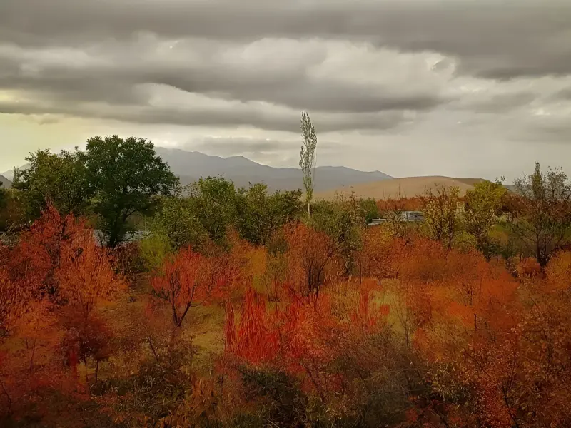 روستای گریوان