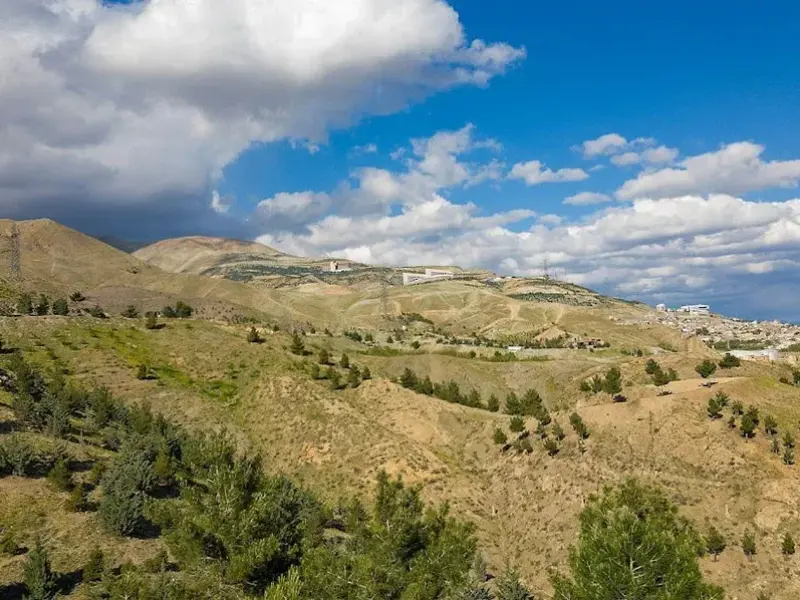 پارک جنگلی کوهسار
