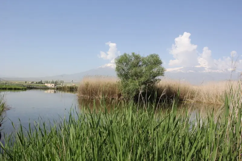 چشمه ثریا - تصویر 5