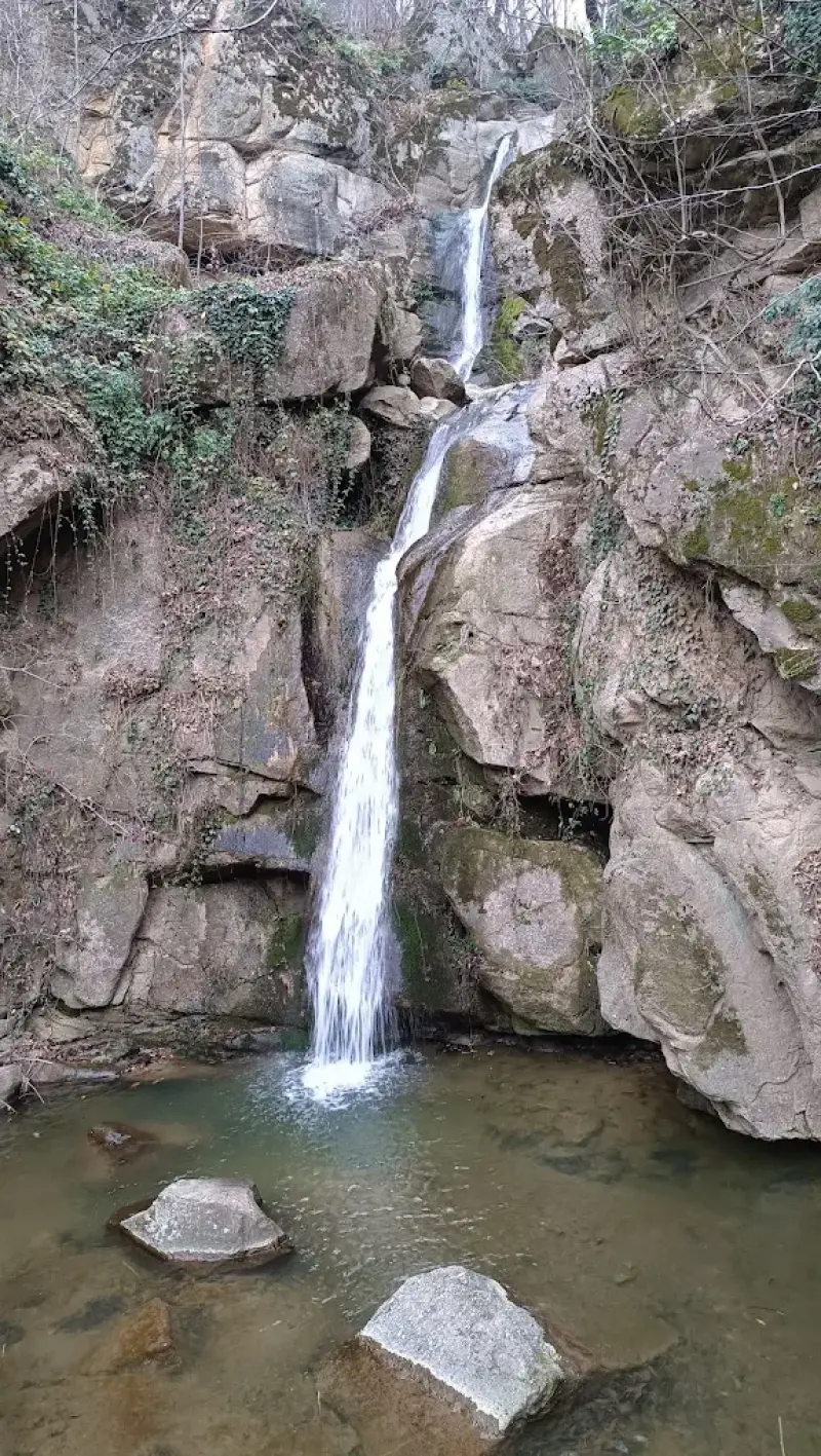 آبشار سران - تصویر 7