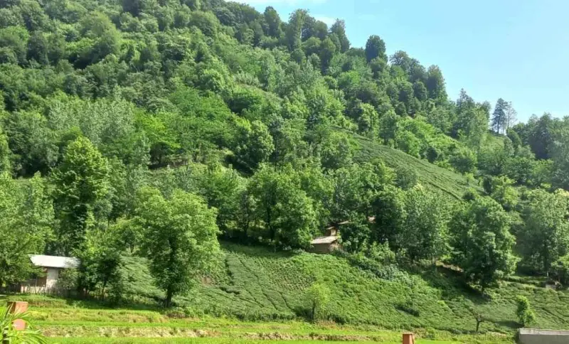 روستای فوشه - تصویر 4