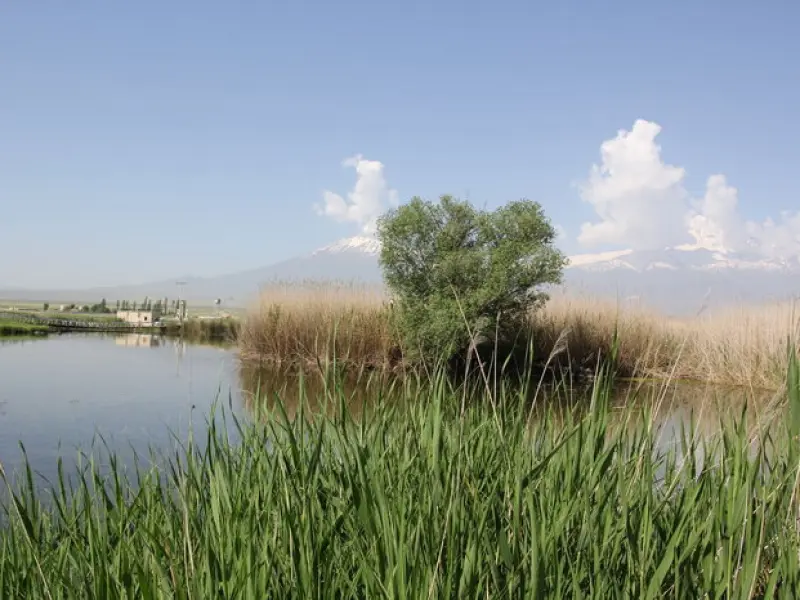 چشمه ثریا - تصویر 5