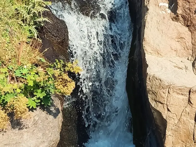 چشمه فرشه - تصویر 5