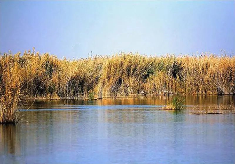تالاب بامدژ - تصویر 2