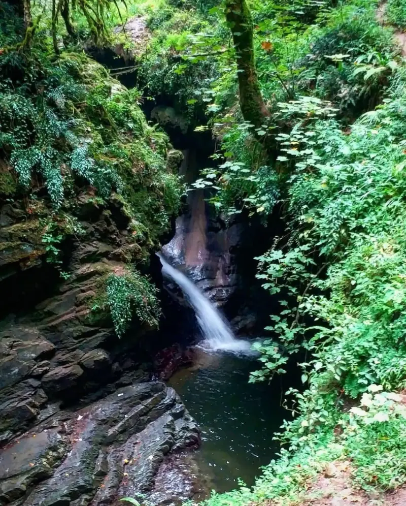 آبشار ماهی مشو - تصویر 2