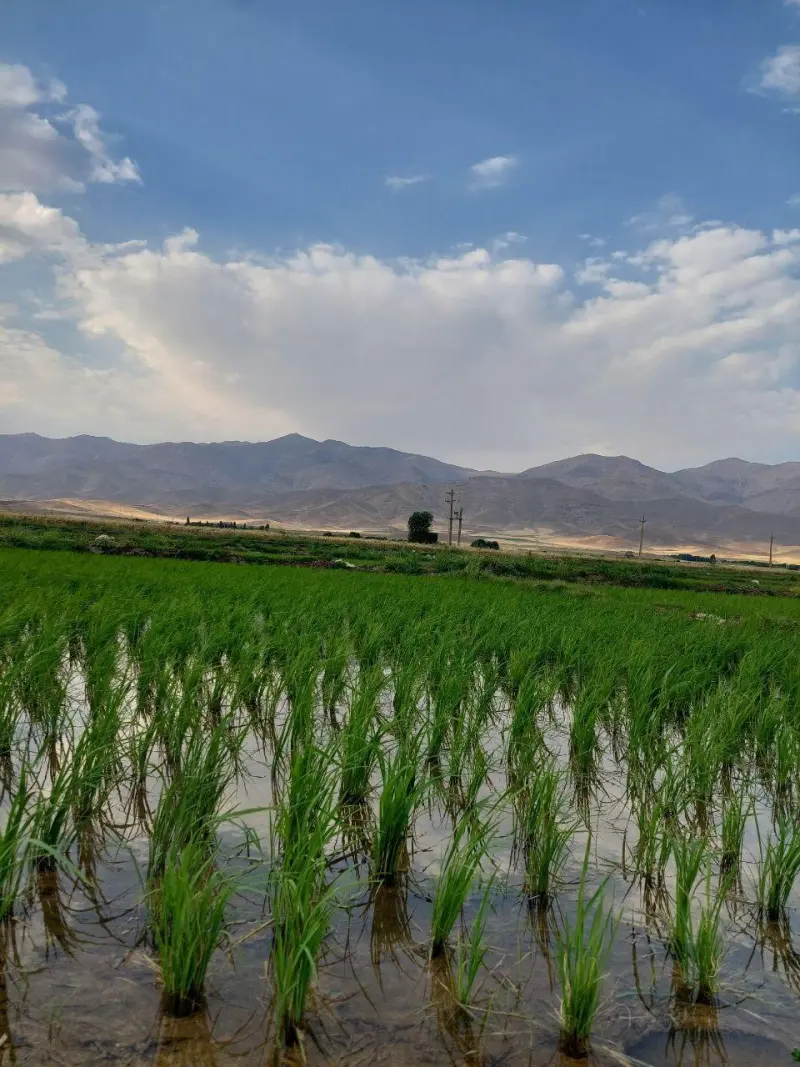 روستای پازردالو - تصویر 3