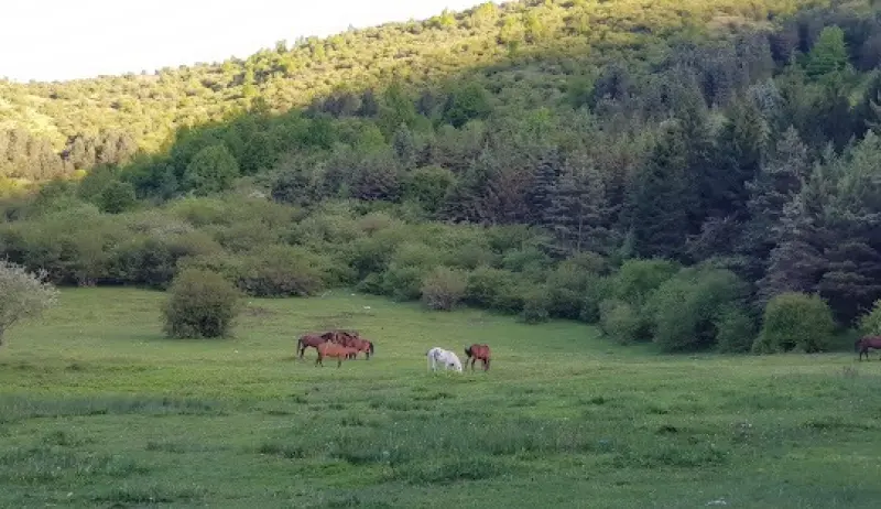 روستای جواهرده - تصویر 11