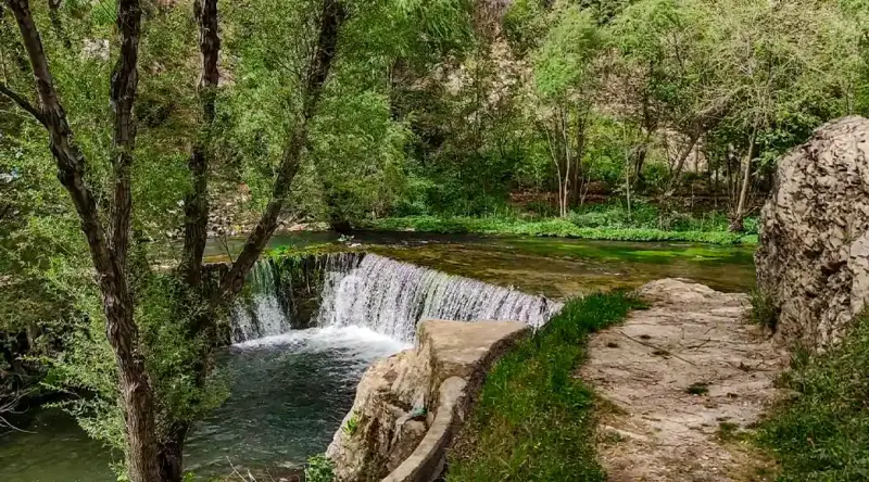 روستای سفیدبرگ - تصویر 3