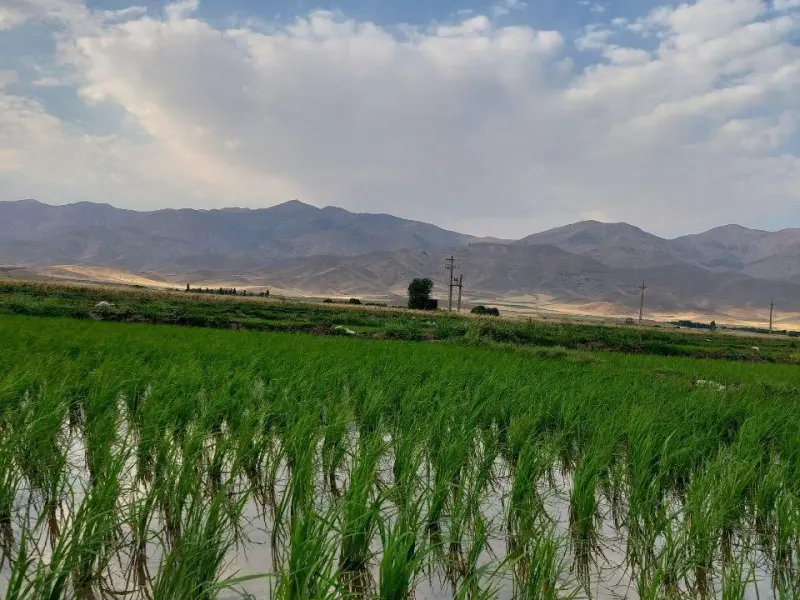 روستای پازردالو - تصویر 3
