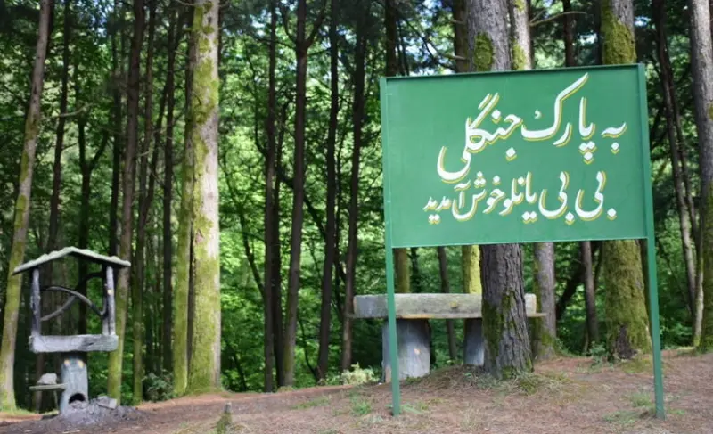 پارک جنگلی بی‌بی یانلو - تصویر 6